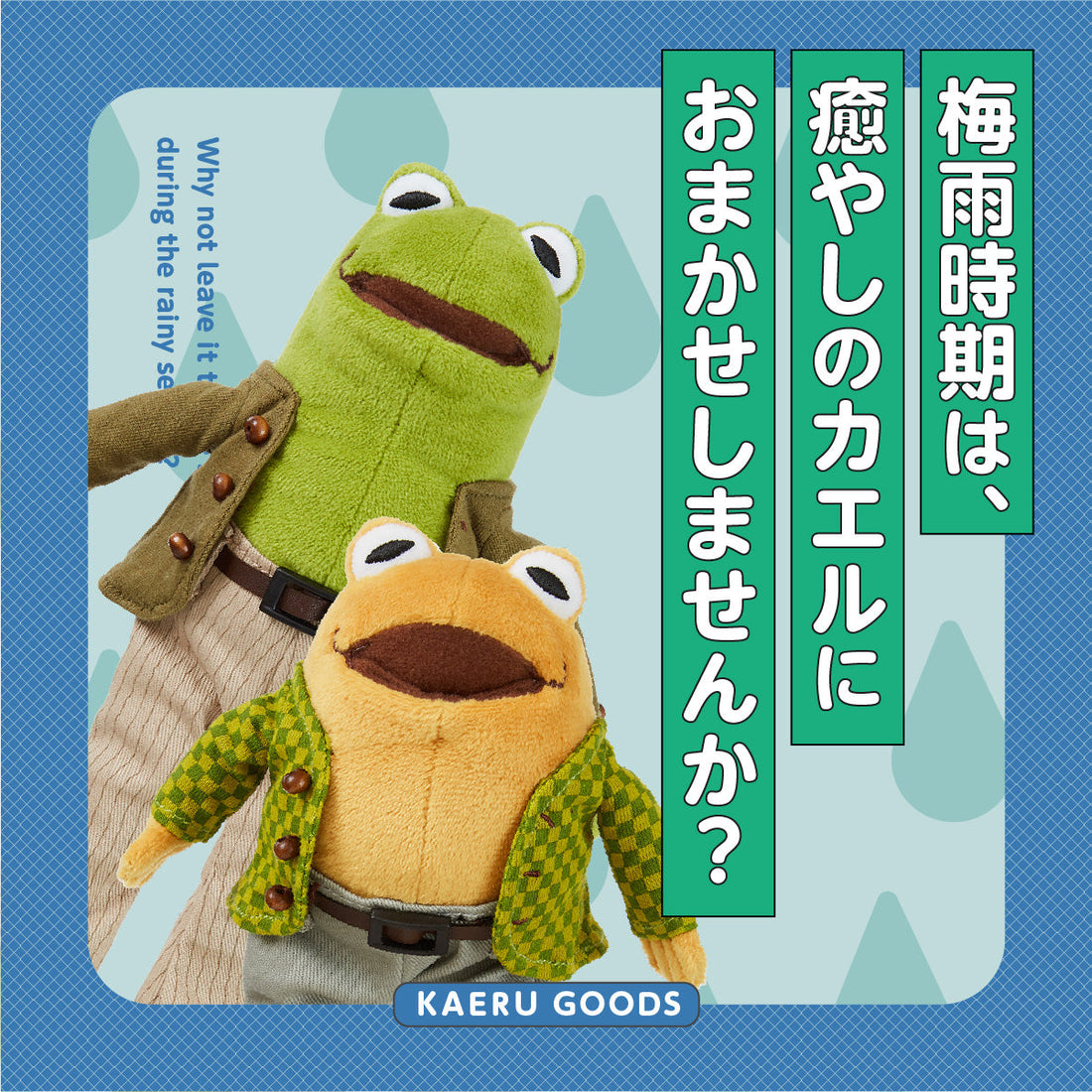 梅雨時期は、癒やしのカエルにおまかせしませんか?