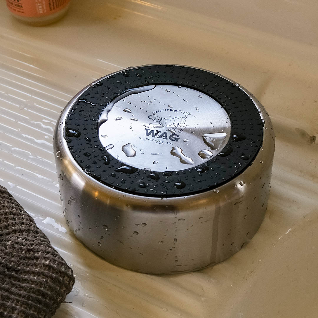 DOUBLE WALL DOG BOUL M