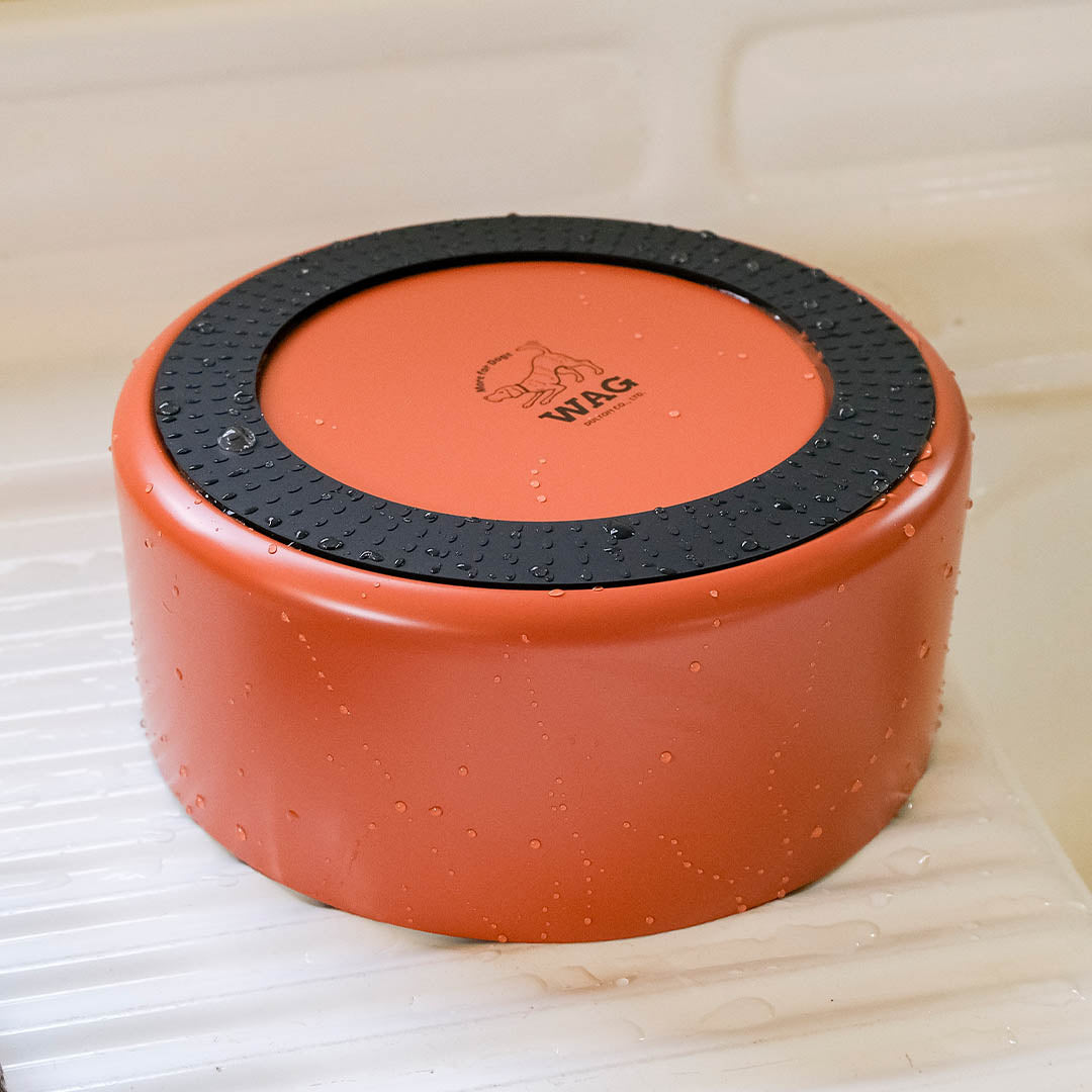 DOUBLE WALL DOG BOUL S