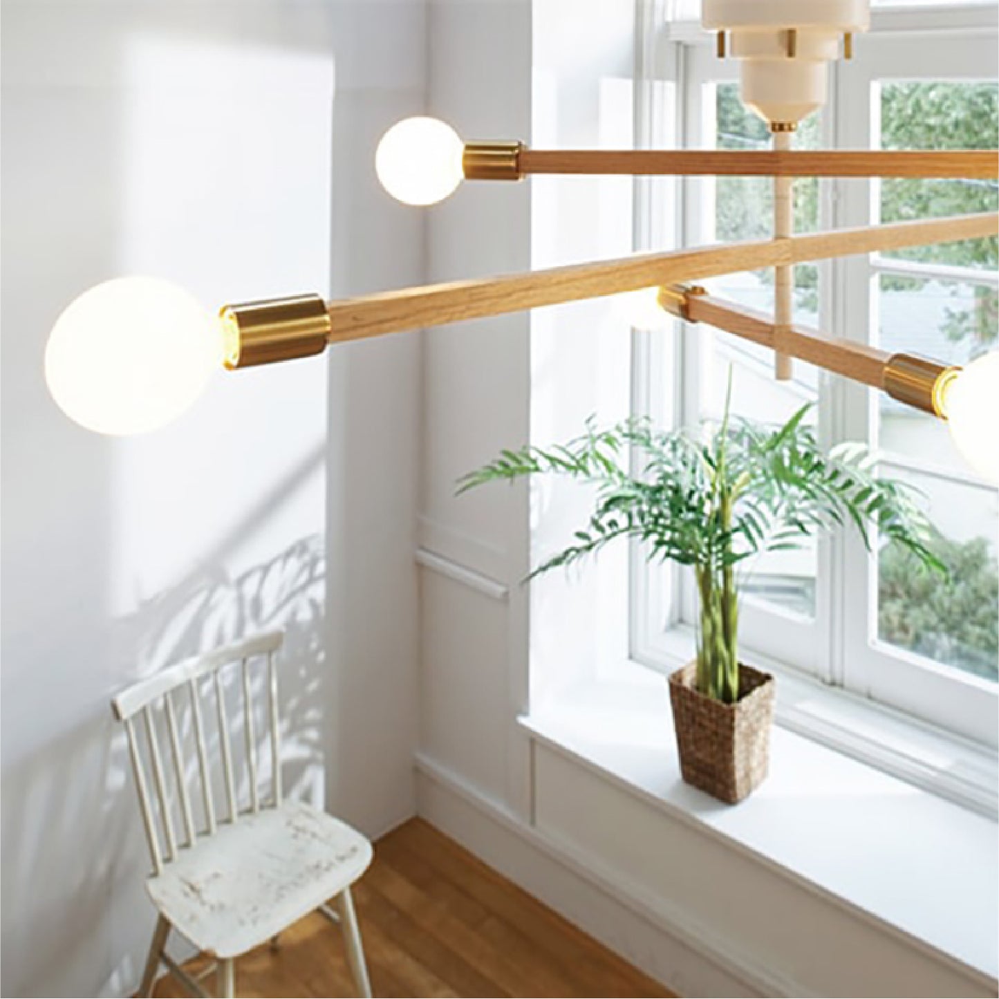 シーリングライト astre-baum-