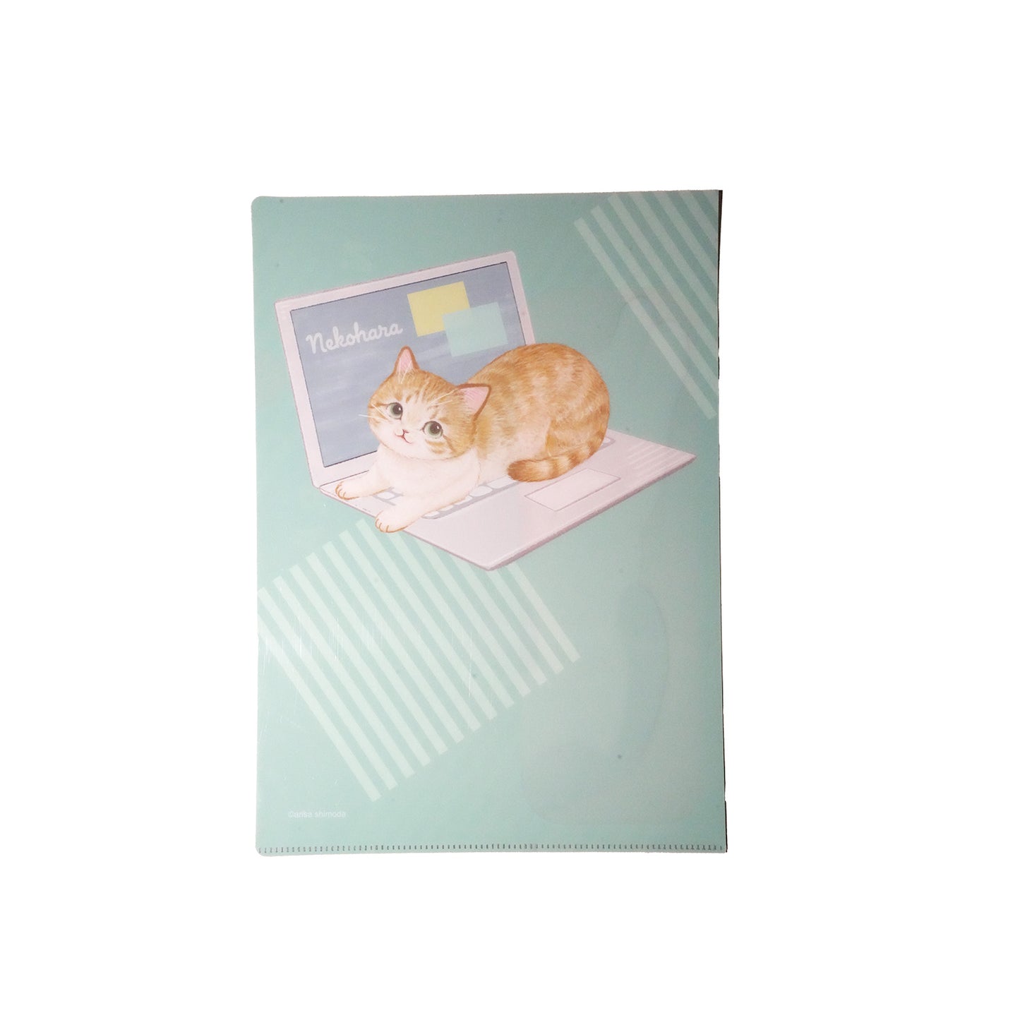 ねこハラ A4ポケットファイル