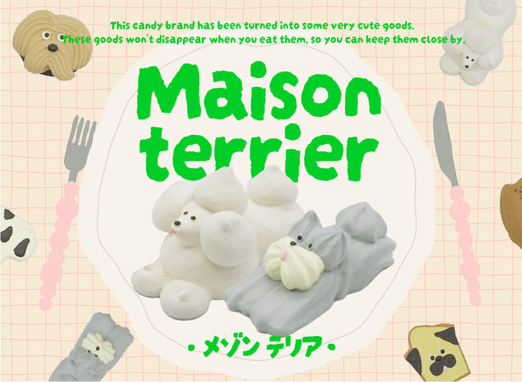 Maison terrier