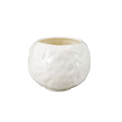 お茶碗　ビションフリーゼ