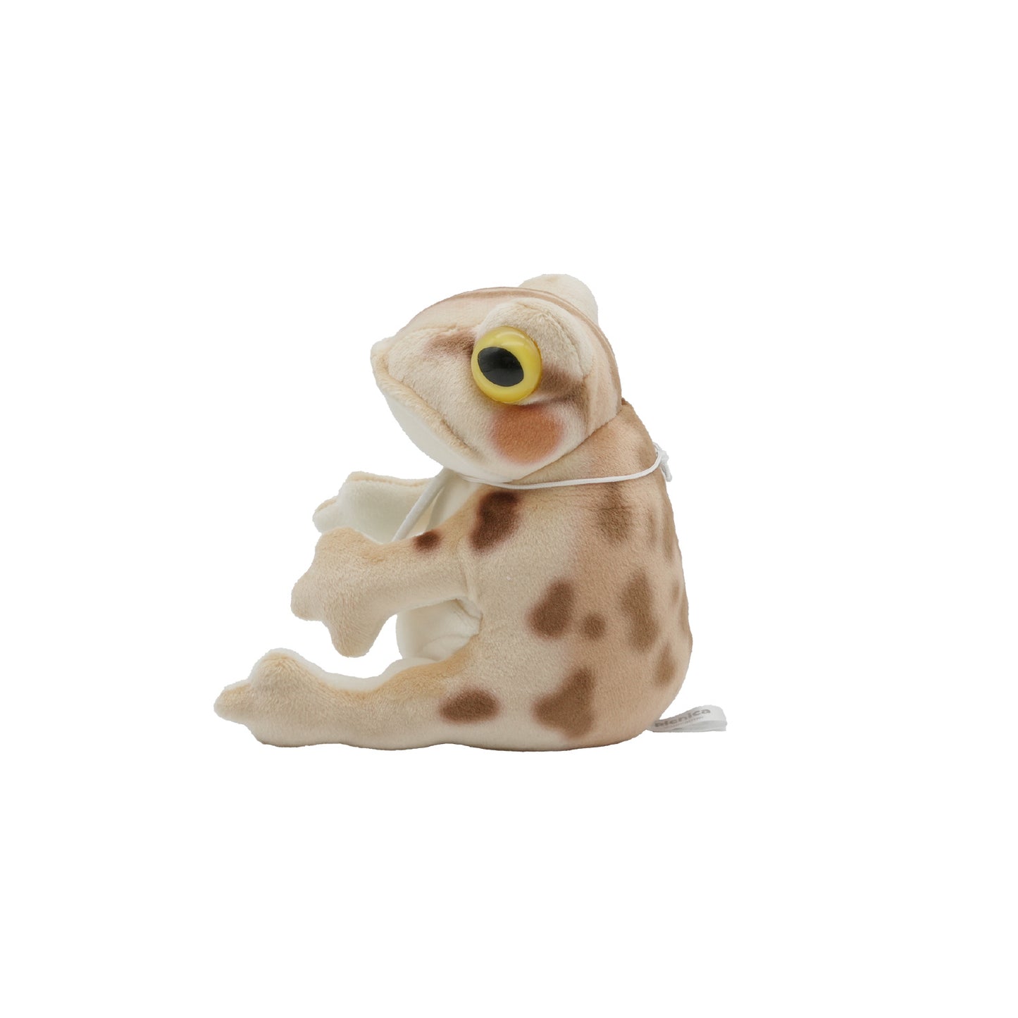 ピクニカ