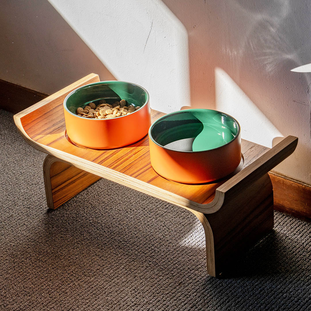 DOUBLE WALL DOG BOUL   M