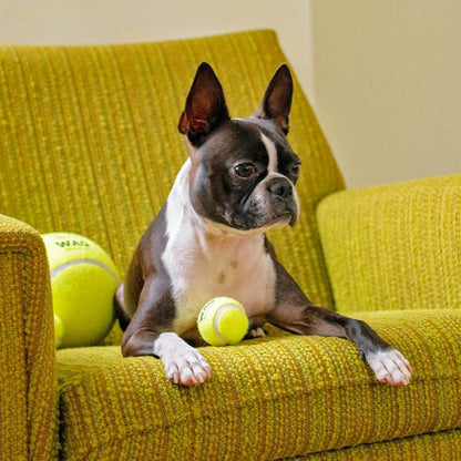 TENNIS BALL
