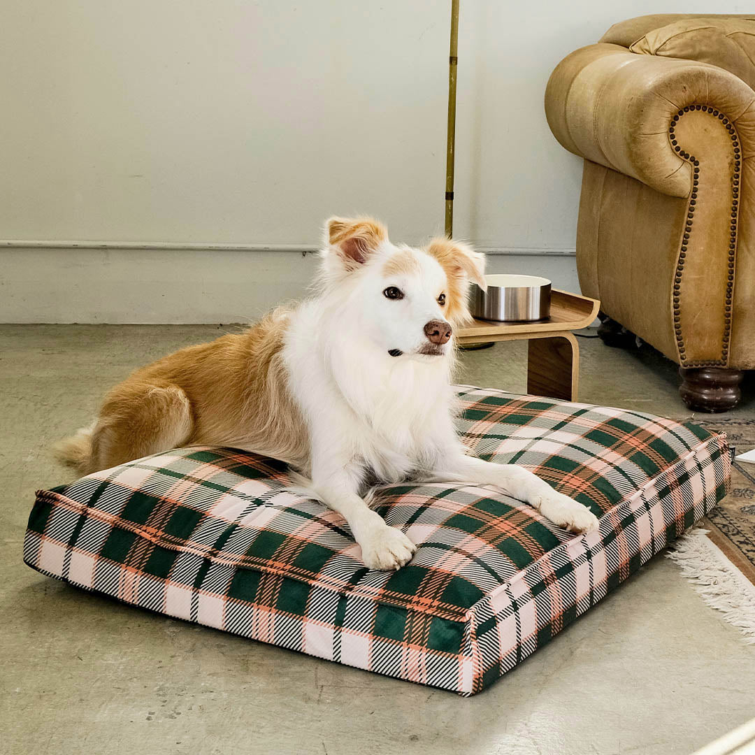CHECK DOG BED – Chatta