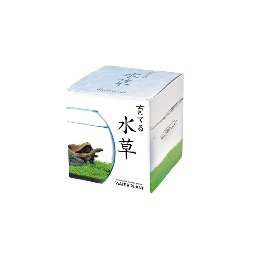 育てる水草