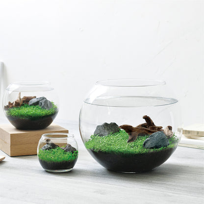 育てる水草